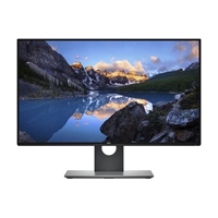 LCD DELL P2419H 24 Inch IPS