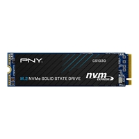 PNY SSD 256GB M.2 NVMe PCIe Gen3x4 